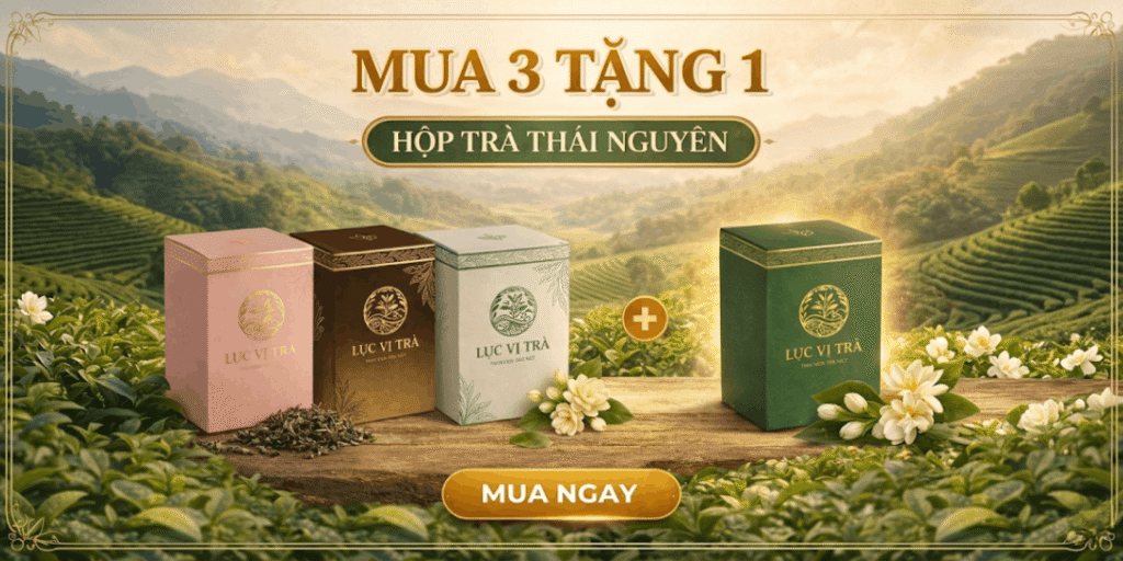 mua 3 tặng 1 trà thái nguyên