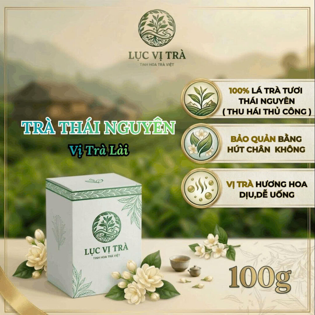Trang chủ tra lai mo ta