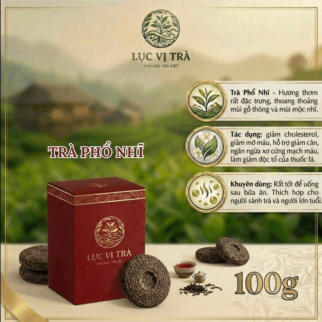 trà phổ nhĩ: 5 kiến thức cơ bản cần biết cho người mới trà phổ nhĩ: 5 kiến thức cơ bản cần biết cho người mới